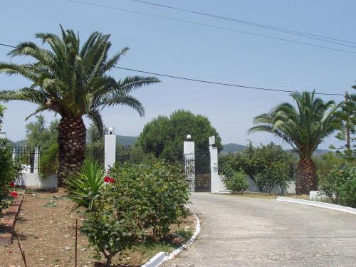 a driveway with two palm trees and a fence at Chrissomallis Apartments in Skiathos Town