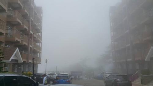 Edna Lozito’s Apartment