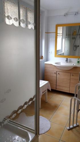 ein Badezimmer mit Waschbecken und Spiegel in der Unterkunft T1 ou T2 dans villa avec jardin proche Biarritz in Anglet