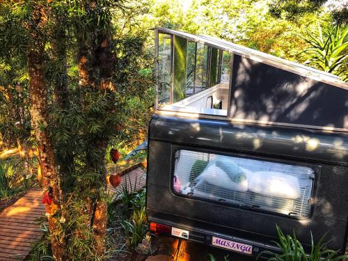 a microwave oven sitting next to a tree at Masinga in Hillcrest