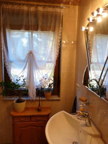 a bathroom with a sink and a window with potted plants at Auf der Heide in Borkheide