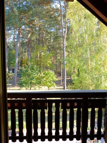 a view from a window of a porch with trees at Auf der Heide in Borkheide