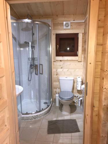 a bathroom with a shower and a toilet and a sink at Northwick Farm Lodges in Broadway