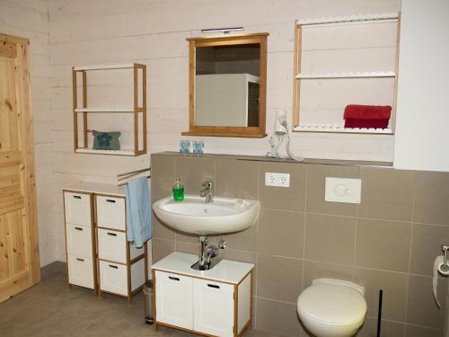 a bathroom with a sink and a toilet and a mirror at Ferienhaus F.Winkler in Neukalen