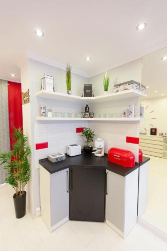 Η κουζίνα ή μικρή κουζίνα στο Flame Luxus Apartman