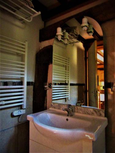 a bathroom with a sink and a large mirror at Appartement au bord de l'Eure in Léry