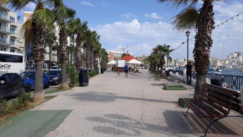 a sidewalk with palm trees and a person walking down it at Shore Bridge in Il-Gżira