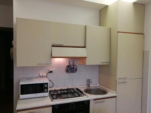 kuchnia z białymi szafkami, zlewem i kuchenką mikrofalową w obiekcie Casa Carducci w mieście Turate