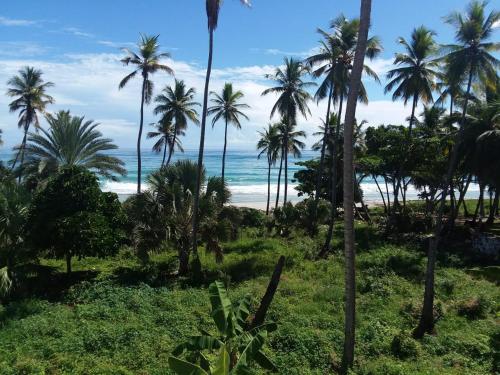 a view of the ocean from a resort with palm trees at Oasi Encantada - Beach Resort in Santa Cruz de Barahona