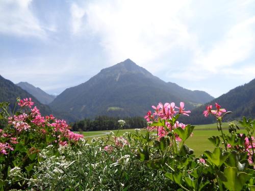 a field of flowers with mountains in the background at Haus Viktoria in Längenfeld