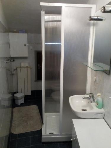 a bathroom with a shower and a sink at Appartamenti Il Leone in Pienza