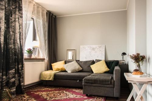 een woonkamer met een grijze bank en een raam bij Katowice City Centre Apartment in Katowice