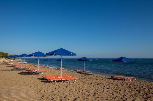 a row of chairs and umbrellas on a beach at Ionion Beach Apartment Hotel & Spa in Arkoudi