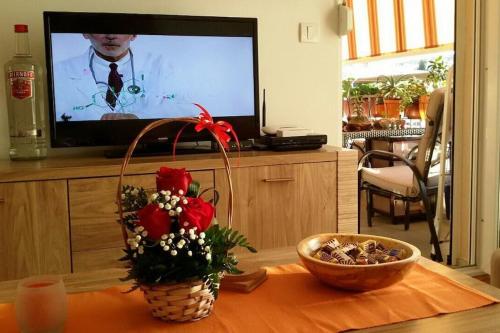 TV a/nebo společenská místnost v ubytování Apartments Maljevic Maca