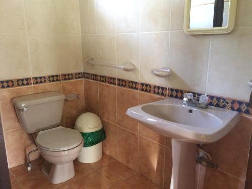 a bathroom with a toilet and a sink at Casa Canta Rana in Fronteras