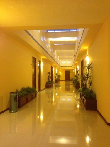 an empty hallway of a building with potted plants at Hotel CR Tehuacan in Tehuacán