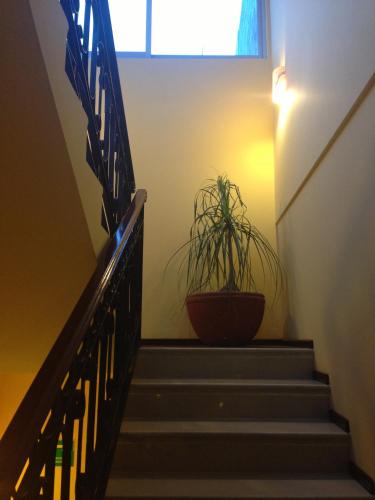 a staircase with a potted plant and a window at Hotel CR Tehuacan in Tehuacán