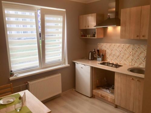 une cuisine avec un comptoir, un évier et une fenêtre dans l'établissement Kvartira v Rige, à Riga