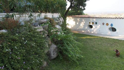 Κήπος έξω από το villa sui calanchi