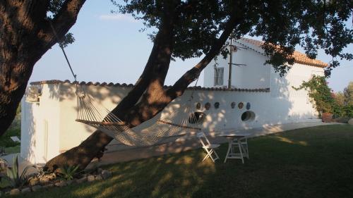 Κήπος έξω από το villa sui calanchi