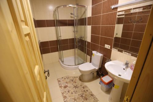 a bathroom with a shower and a toilet and a sink at Sadyba Lisova Kvitka in Verkhniy Yasenov