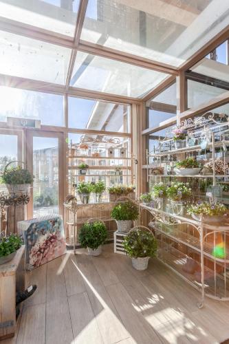 a greenhouse with potted plants on shelves at Hajé Hotel Restaurant de Lepelaar in Lelystad