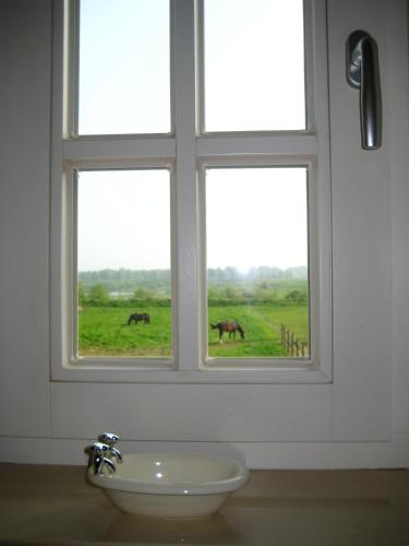 a bathroom window with a sink and two horses in a field at Vakantiehuis Aen de Roderburgh in Maaseik