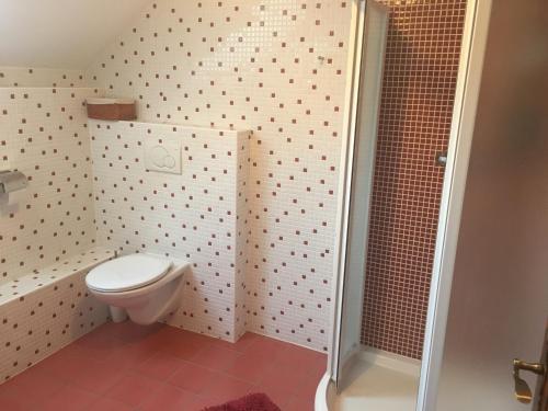 a bathroom with a toilet and a shower at Chalupa Continental in Ostružná