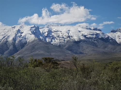 a snow covered mountain in the distance with trees at De Rustica Stable Stay in De Rust