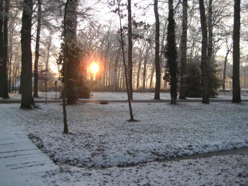 a park covered in snow with the sun in the background at Landgoedhoeve Vosbergen in Heerde