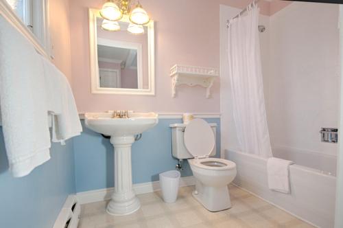 a bathroom with a toilet and a sink and a mirror at Telegraph House Motel in Baddeck