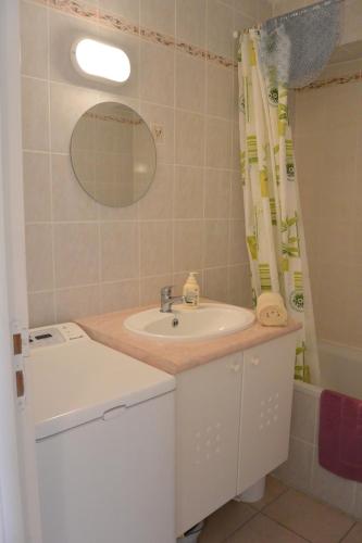 une salle de bain avec un lavabo et une machine à laver dans l'établissement PALMERAIE 40, à Sari-Solenzara