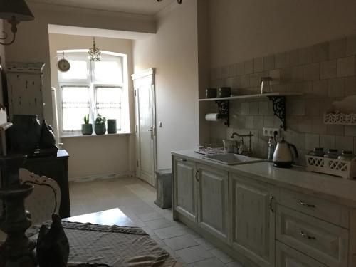 a kitchen with a sink and a window at Apartment Parkowa in Poznań