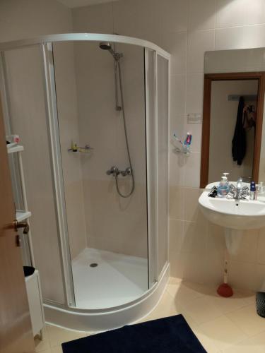 Borovets Apartment, Villa Park tesisinde bir banyo
