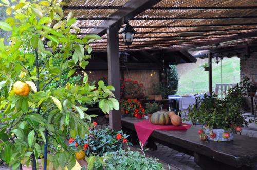 a patio with a table with pumpkins and plants at Agriturismo Barcola in Grandola ed Uniti