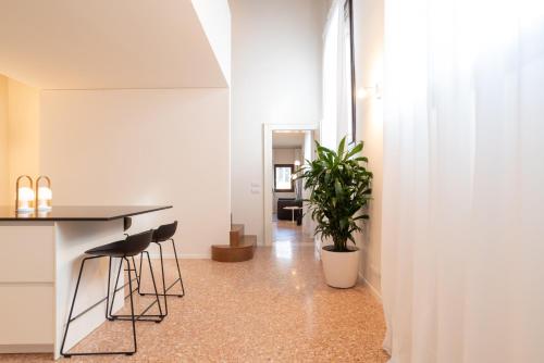 a room with a counter and a table and a plant at Palazzo Vendramin Costa in Venice
