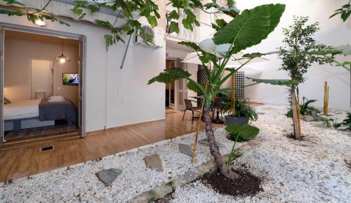 Amazing apartment in Kolonaki