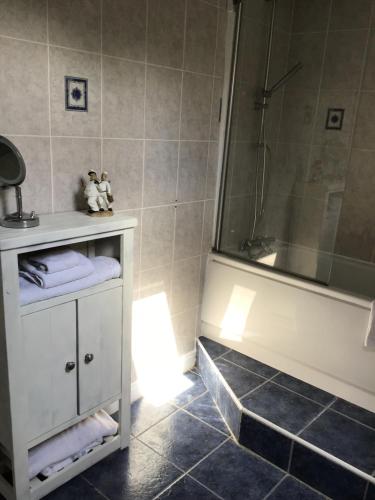a bathroom with a shower and a bath tub at Little Lodge B&B Lutterworth in Lutterworth