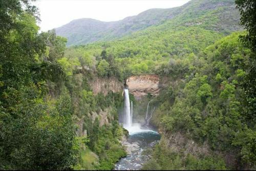 Gallery image of Cabañas El Toro - Radal Siete Tazas in Molina