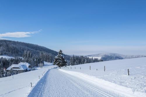 a snow covered road with a tree on the side of it at Forsters Schwarzwald Hof - Resort-Hotel&Pension in Feldberg
