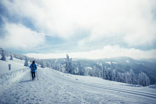 a person riding a bike down a snow covered slope at Forsters Schwarzwald Hof - Resort-Hotel&Pension in Feldberg