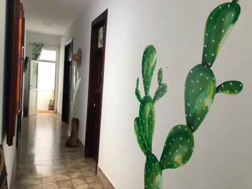 a green cactus on a wall in a hallway at Cactus Host in Las Palmas de Gran Canaria