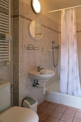 a bathroom with a sink and a toilet and a shower at ABEN & HANA penzion in Modřice