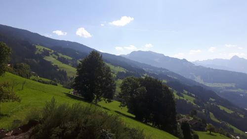 a green hillside with trees on top of it at Nesterhof in Aschau