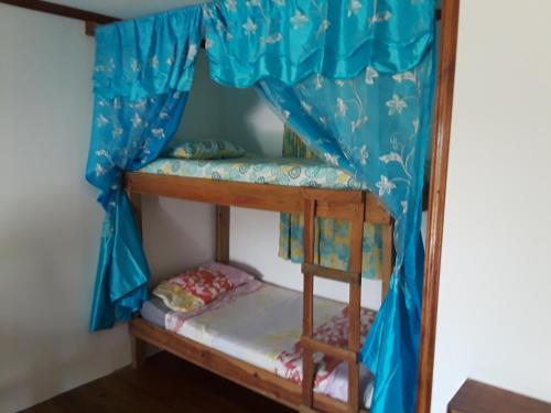 a bunk bed in a room with blue curtains at Hidden Haven in Unitedville