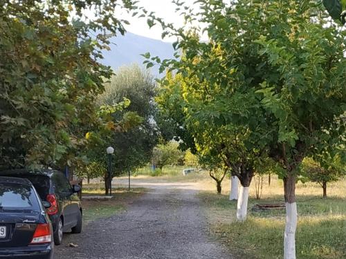 a road with trees and a car parked on it at Holiday Tolofona Beach in Eratini