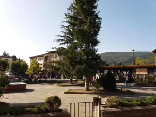 a town square with a tree and buildings at Tena Biescas Tourist Home in Biescas
