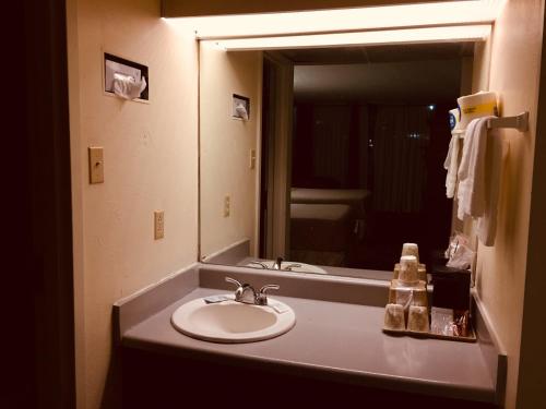 uma casa de banho com um lavatório e um espelho em Cheshire Motor Inn em Atlanta