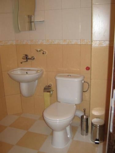 a small bathroom with a toilet and a sink at Anelia Family Hotel in Kavarna