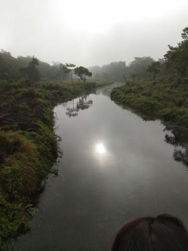 a person is looking down at a river at Chital lodge in Chitwan